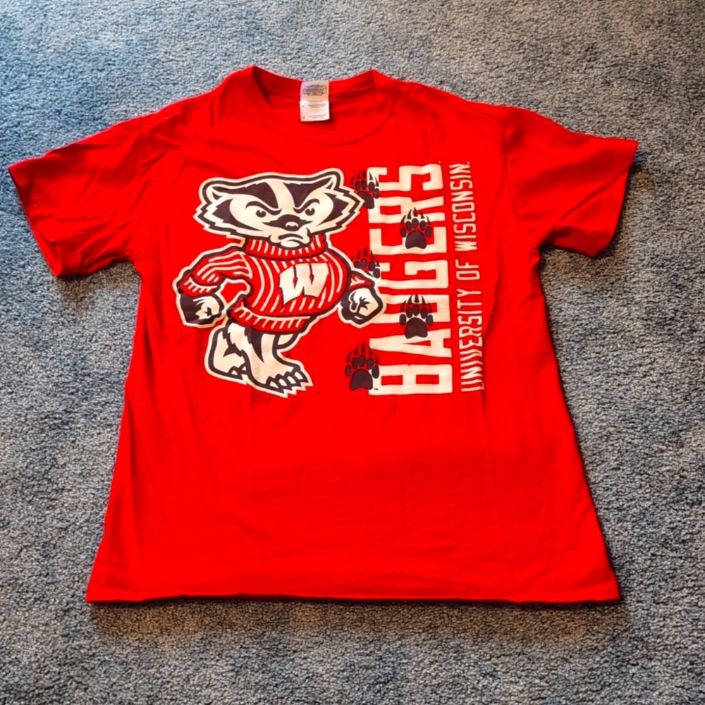 Wisconsin Badgers - Bucky Badger, small